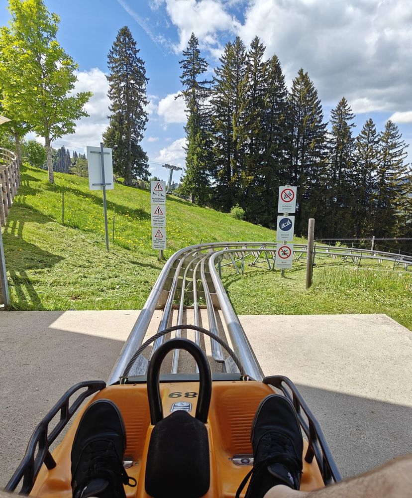 Alpsee Coaster 